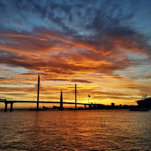 Photo #10389429