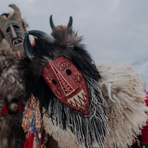 Photo #10389664