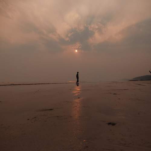 Photo #10389677