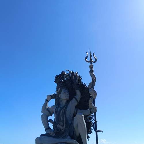 Photo #10390210