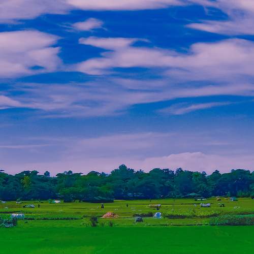 My Bangladesh