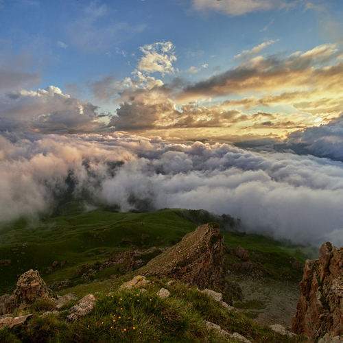 Photo #10390933