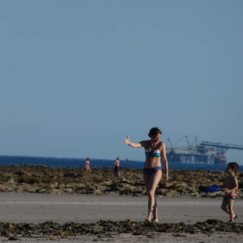Photo #10391544