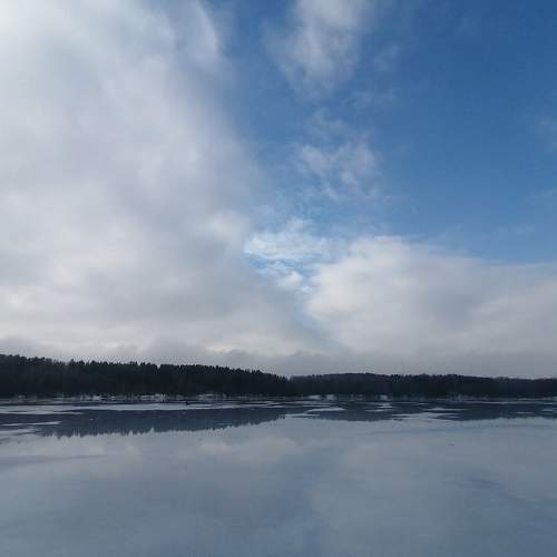 Photo #10391611