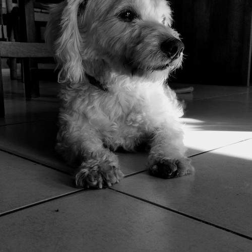 Photo #10391702
