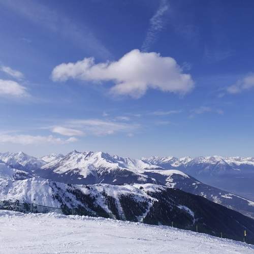 Photo #10391773
