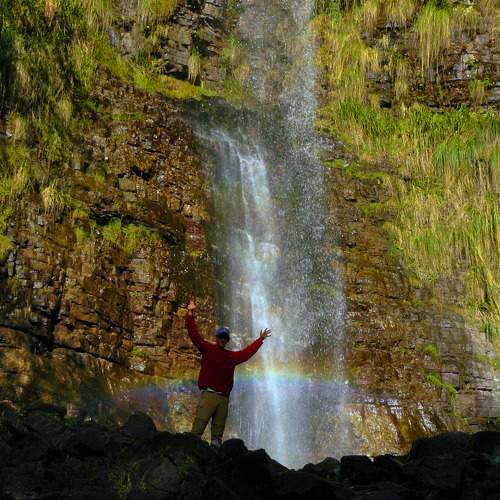 Photo #10392192