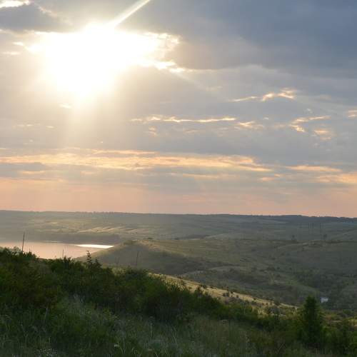 Photo #10392198