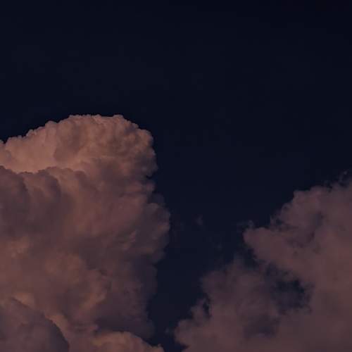 Photo #10392381