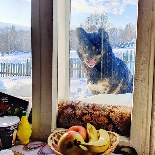 Photo #10392404