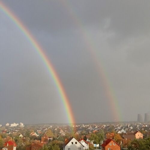 Photo #10392416
