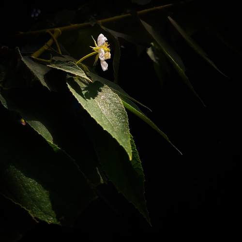 Photo #10392471