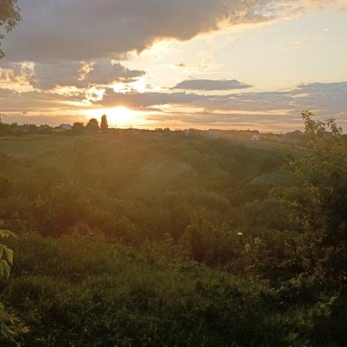 Photo #10392492