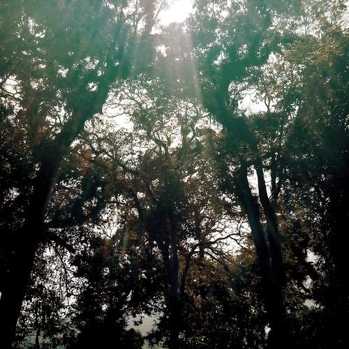 Photo #10392530