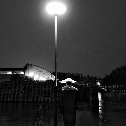 Photo #10392546