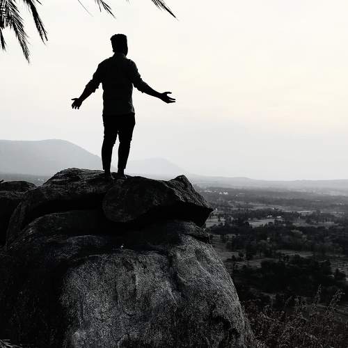 Photo #10392805