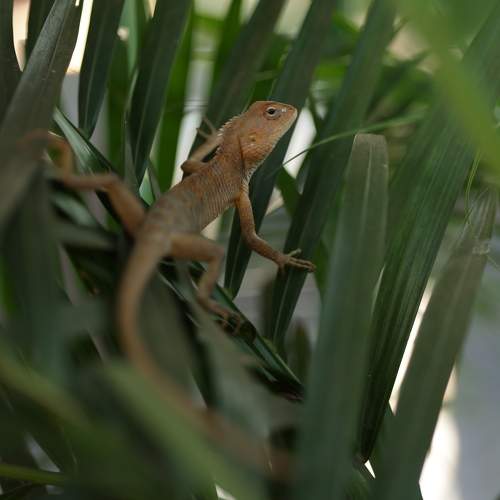 Photo #10392896