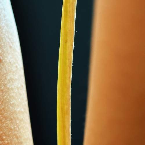 Photo #10393701
