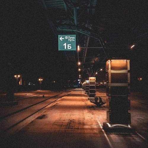 Photo #10393819