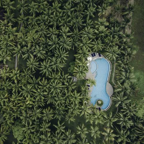 Photo #10394005