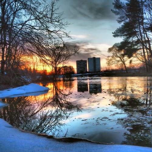 Photo #10394053
