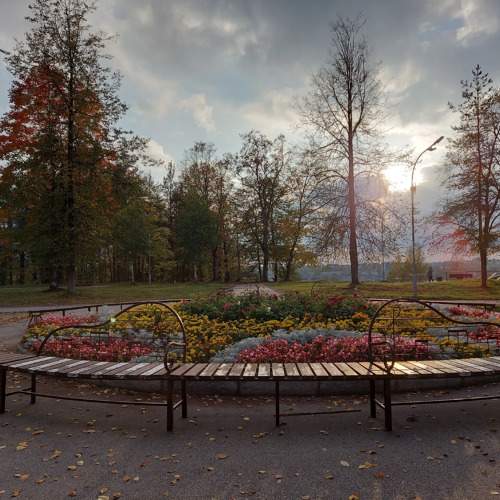 Photo #10394161
