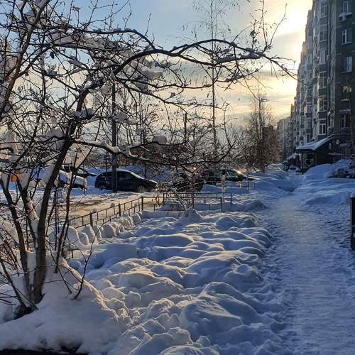 Photo #10394200