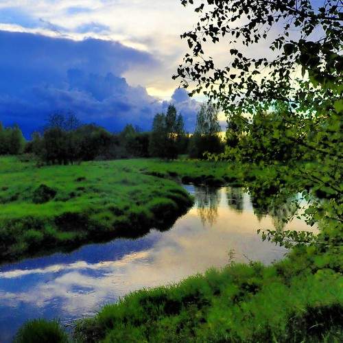 Photo #10394222