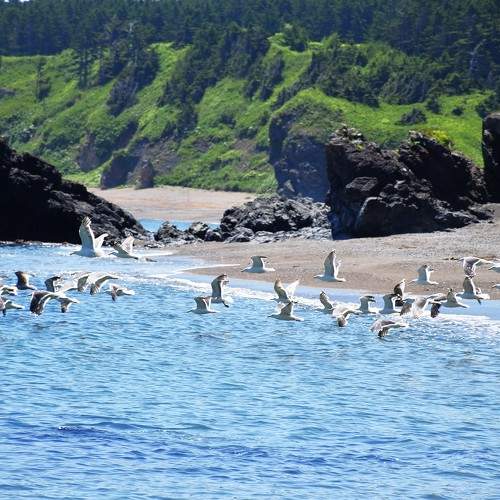 Photo #10394239