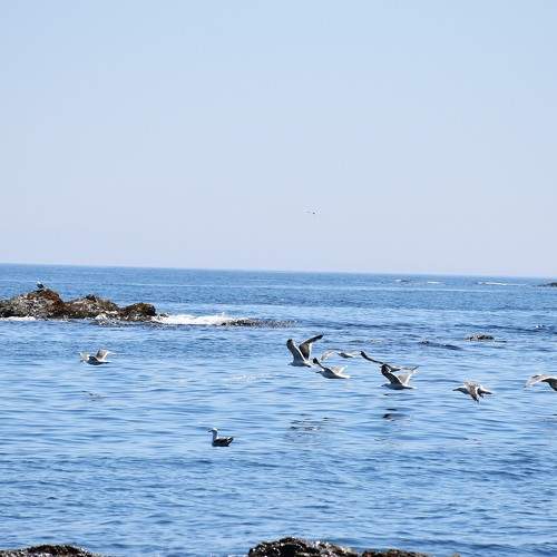 Photo #10394240