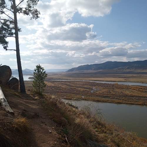 Photo #10394263
