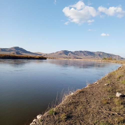Photo #10394327