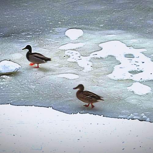 Photo #10395209
