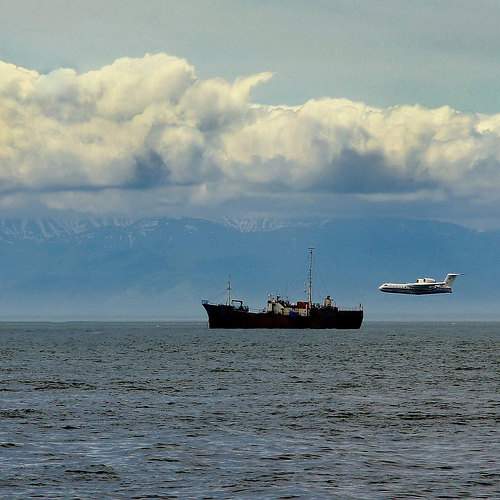 Photo #10395264