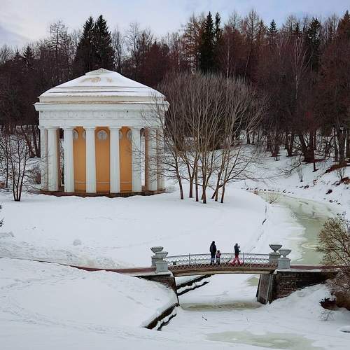 Photo #10395472
