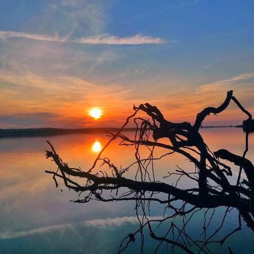 Photo #10395613