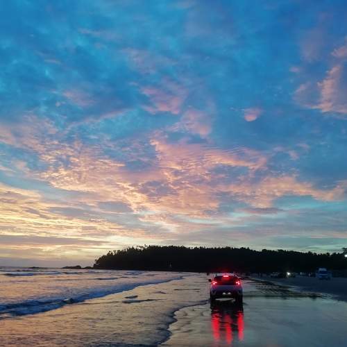 Photo #10395803