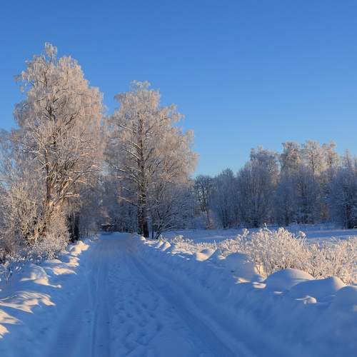 Photo #10395905
