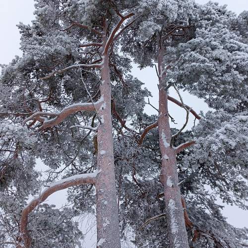 Photo #10395918