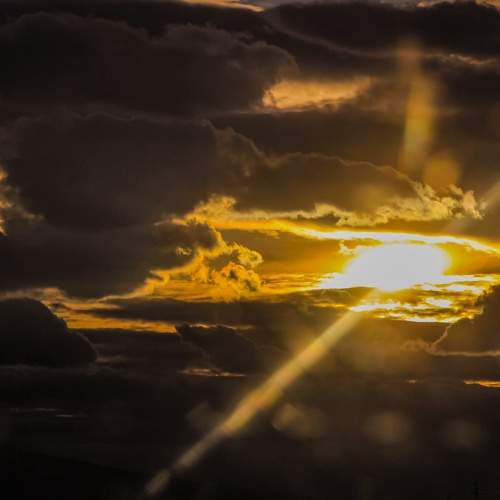 Photo #10395929