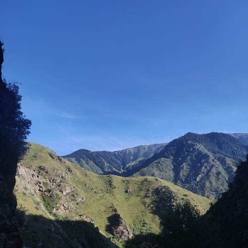 Photo #10395992
