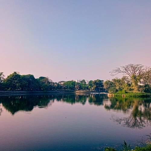 Photo #10396122