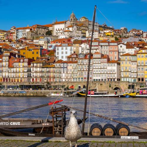 Oporto Guardian