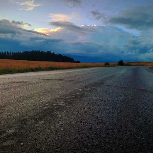 Photo #10396390