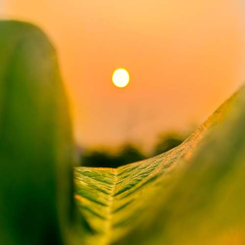 Photo #10396595