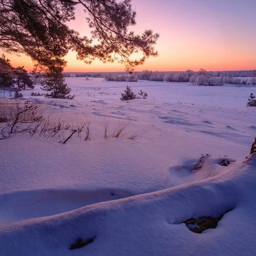 Photo #10396615