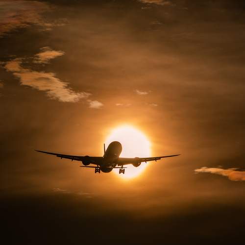 Photo #10396925
