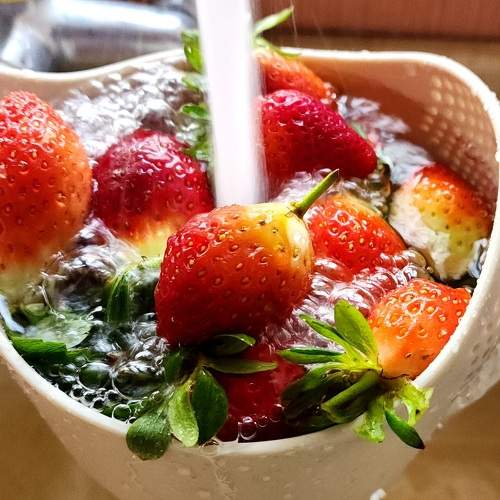 Photo #10396988