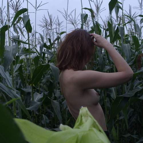 Photo #10397235