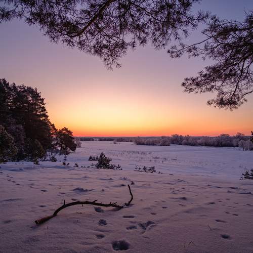 Photo #10397283